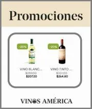 Catálogo Vinos América en Guadalajara | Promos imperdibles | 20/7/2022 - 31/7/2022