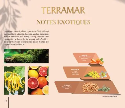 Catálogo Terramar Brands en Aguascalientes | folleto de Mayo | 5/5/2023 - 31/5/2023