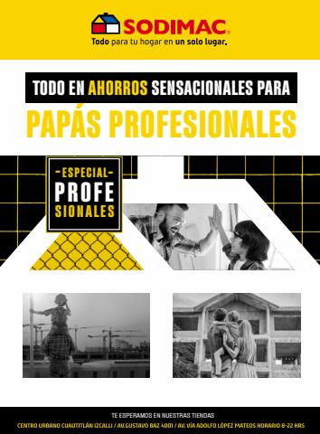 Ofertas de Hogar y Muebles en Iztacalco | ESPECIAL PROFESIONALES, DÍA DEL PADRE de Sodimac Constructor | 10/6/2022 - 8/7/2022