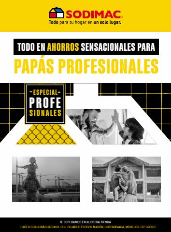 Catálogo Sodimac Constructor en Cuernavaca | ESPECIAL PROFESIONALES, DÍA DEL PADRE | MORELOS | 10/6/2022 - 8/7/2022