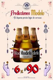 Catálogo Grupo Modelo en Heróica Puebla de Zaragoza | PREDICCIONES MODELO | 25/4/2022 - 30/4/2022