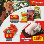 Ofertas de Hiper-Supermercados en Tlajomulco de Zúñiga | Ofertas Soriana Híper de Soriana Híper | 31/1/2023 - 3/2/2023