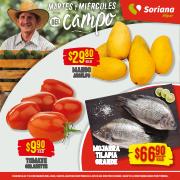 Ofertas de Hiper-Supermercados en Aguascalientes | Ofertas Soriana Híper de Soriana Híper | 21/3/2023 - 23/3/2023