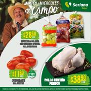 Ofertas de Hiper-Supermercados en Tlajomulco de Zúñiga | Ofertas Soriana Súper de Soriana Súper | 31/1/2023 - 3/2/2023