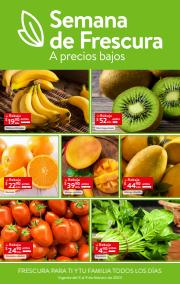 Catálogo Walmart Express en Heróica Puebla de Zaragoza | SEMANA DE FRESCURA A PRECIOS BAJOS  | 3/2/2023 - 9/2/2023