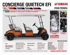 Ofertas de Autos, Motos y Repuestos en San Miguel de Allende | Carros de Golf  de Yamaha | 2/1/2023 - 30/6/2023