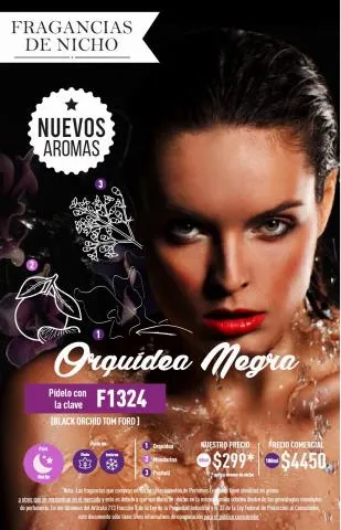 Catálogo Perfumes Europeos en Fresnillo | Catálogo de Fragancias Junio 2023 | 6/6/2023 - 30/6/2023