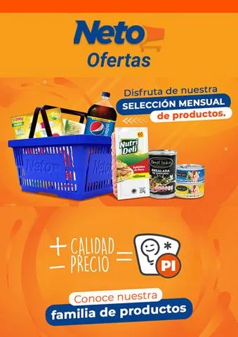 Tiendas Neto Irapuato - Avenida Guanajuato # 562, Col. Barrio Calzada de  Guadalupe | Ofertas y Horarios