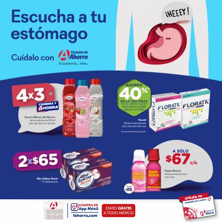 Ofertas de Farmacias y Salud en Guadalupe (Nuevo León) | Folleto Temporada Junio2022 de Farmacias del Ahorro | 1/6/2022 - 30/6/2022