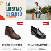 Catálogo Flexi en León | Ofertas Increíbles! | 8/3/2023 - 22/3/2023