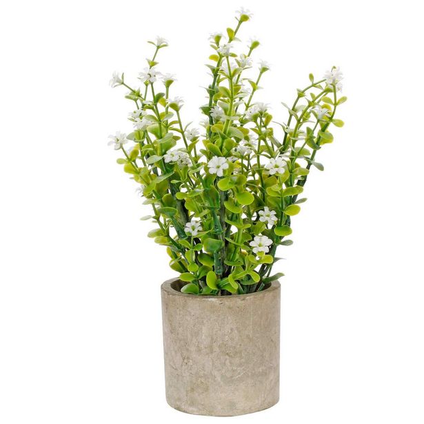 Oferta de  Planta Con Flor Base Fina 25cm 1pz por $237.1