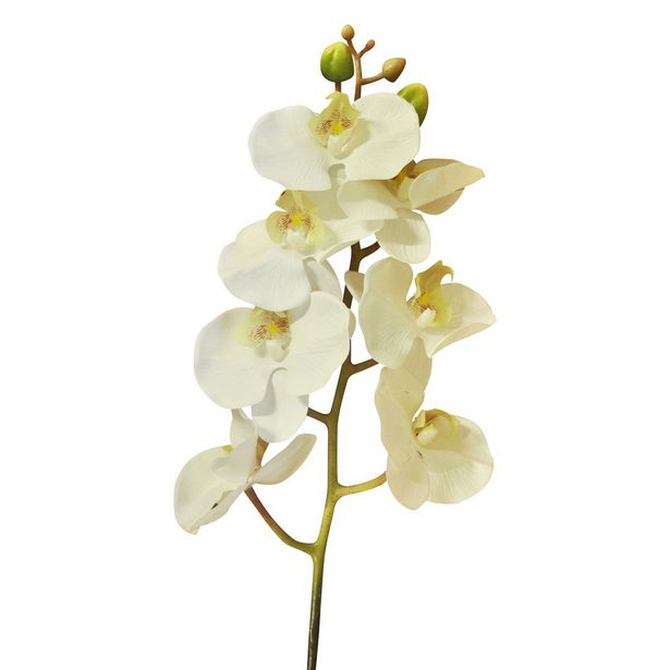 Oferta de Orquídeas Color Blanco Art Home por $150