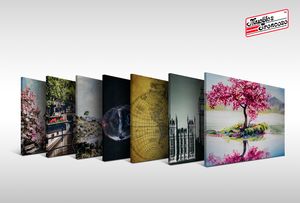 Oferta de CUADROS VARIOS 1.20X80 por $1000 en Muebles Troncoso