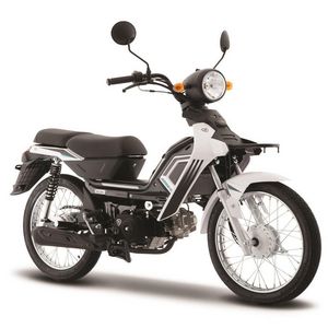 Oferta de Motocicleta de Trabajo Italika AT110 LT Blanca por $17999 en Elektra
