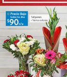 Oferta de Tulipanes por $90 en Walmart Express