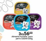 Oferta de Alimento húmedo para perro CESAR 100g x 3 por $56 en Fresko