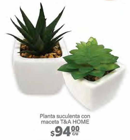 Comprar Plantas en Tepotzotlán | Promociones y Ofertas