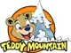 Logo Teddy Mountain